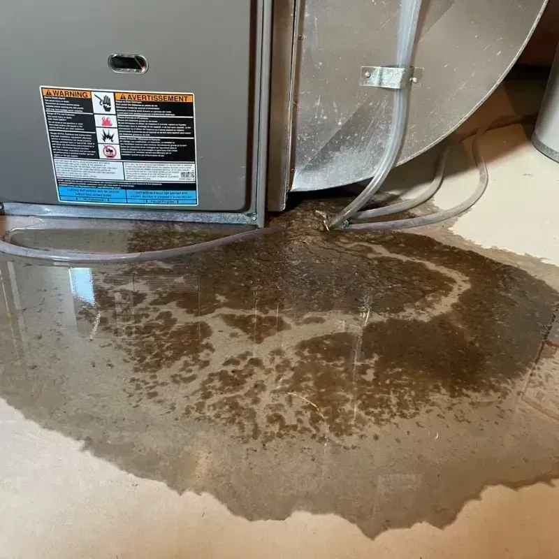 Appliance Leak Cleanup in Island Lake, IL